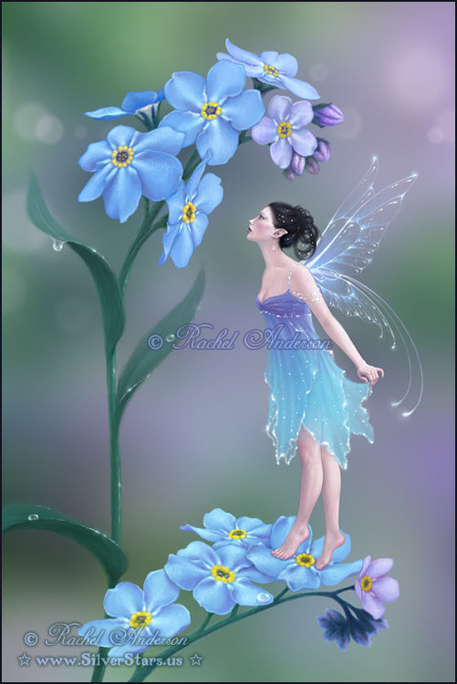 Forget-Me-Not – Rachel Anderson Art